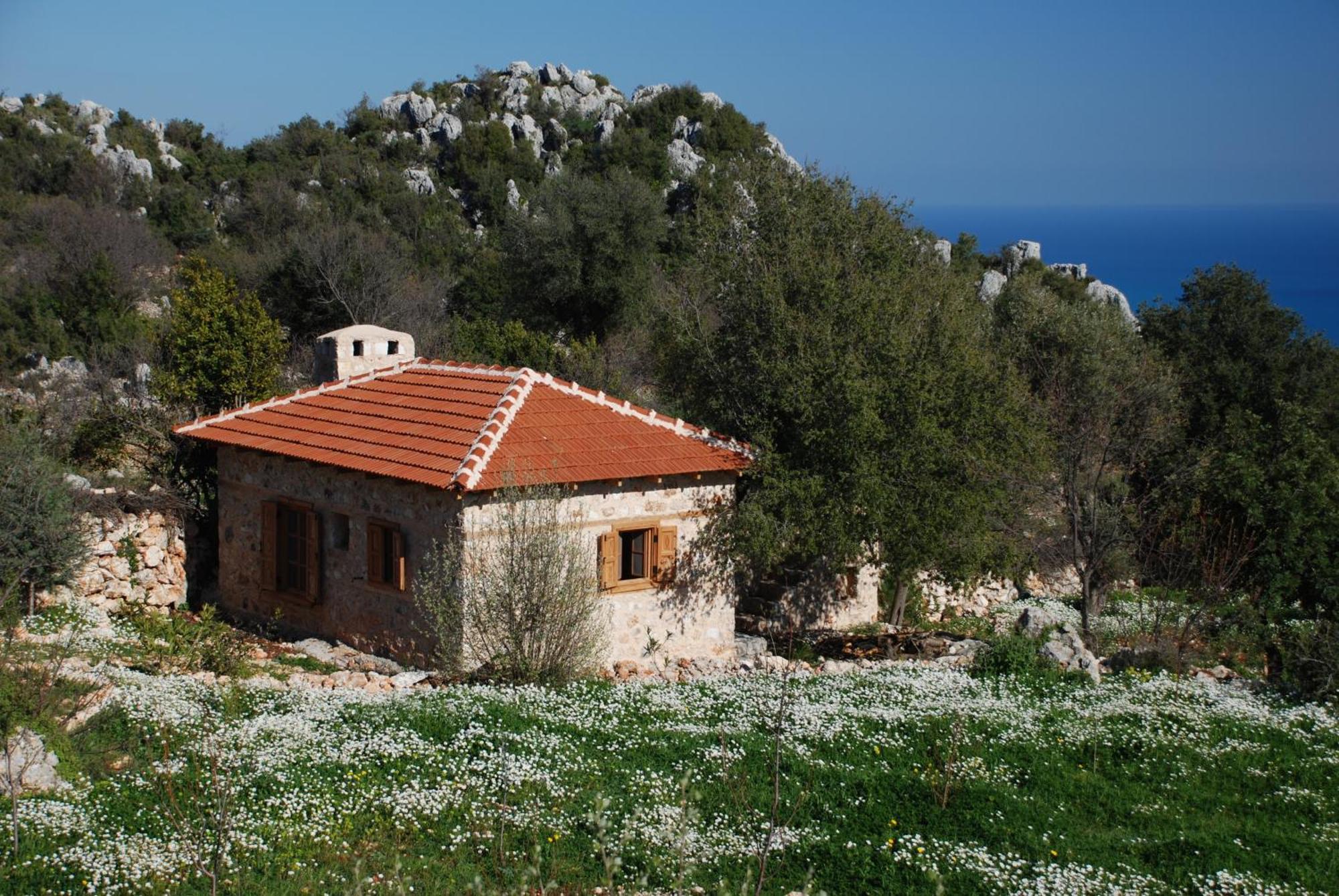 Hoyran Wedre Country Houses Davazlar Kültér fotó